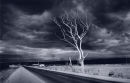 Aldinga Beach Road
South Australia