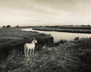 Great River Ouse
Cambridgeshire