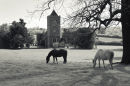 Eastwick Manor
Hertfordshire