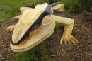 Sand Lizard