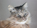 Gilbert