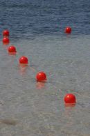 Buoys