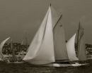 Regatta 2008 2