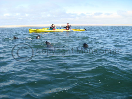 Kayaking with Eco Marine Kayak Tours, Walvis Bay, Namibia