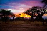 Tarangire National Park