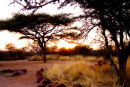 Okonjima and AfriCat