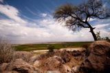 Lake Manyara