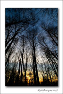 Kilkenny Landscape photography