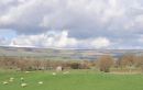 Wensleydale