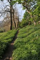 Barrack Wood, West Burton
