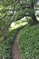 Barrack Wood, West Burton