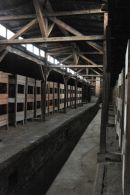 Auschwitz-Birkenau