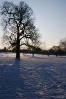 Mill Hill Park