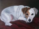 Jack Russell pet portrait