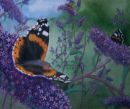 Click to enlarge
Butterfly artwork by Julie Hollinshead .
