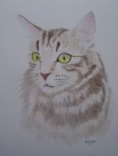 A3 Gift voucher £59