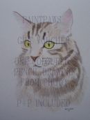 GIFT VOUCHER £35