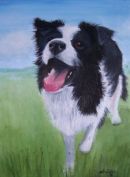 Collie dog waiting. SALE ITEM Click to enlarge. Pet portrait by Julie Hollinshead