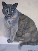 Cat portrait canvas
