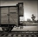 Cattle Car in Birkenau Camp