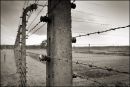Electrified Barbed Wire Fence at Birkenau Concentration and Extermination Camp