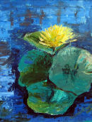 Lilly Pads