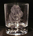 Labrador