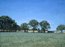 field to the sun
