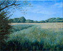 summer field