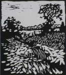english summer field
