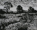 field near the mersey (large version)