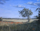 solitary tree