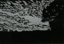 spring sky over fields