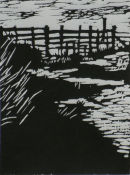 stile spitlers edge