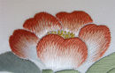 Camellia detail