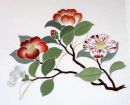 Camellia