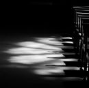 In to The Light
