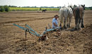working the land #4