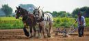 Working the land