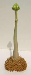 Kelp (SOLD)