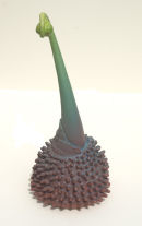 Unfurling