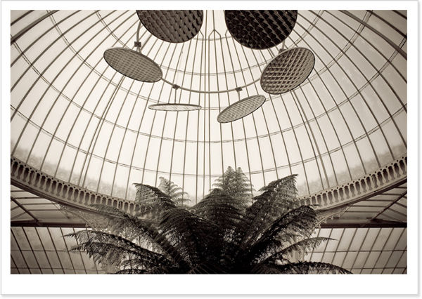 PALMHOUSE