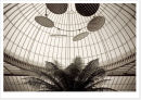 PALMHOUSE