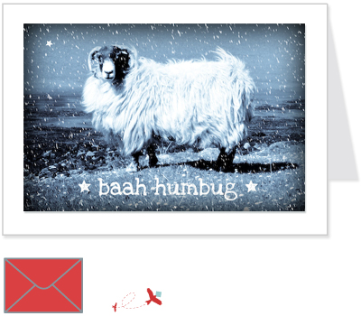 Scottish Sheep<br>Baah Humbug