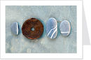 beach finds 1