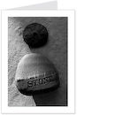 beach finds 2