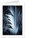 feather