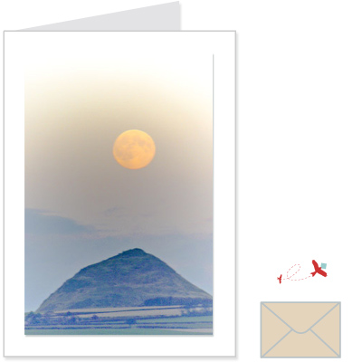 harvest moon<br>ELBL:1002
