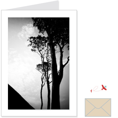 law trees<br>ELBL:1003