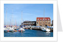 north berwick harbour 4